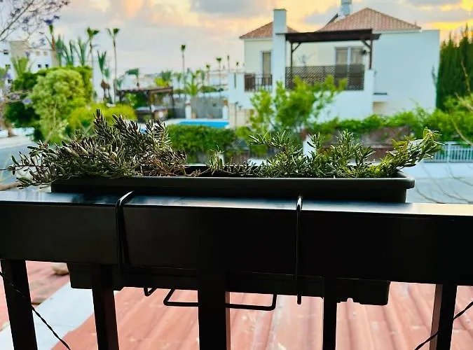 Sunset Veranda Arya (adults Only) * Coral Bay